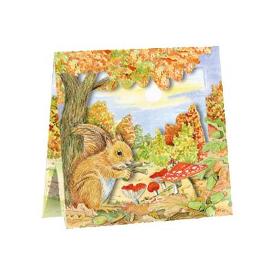 Box Eekhoorn van Floris 1 kaart, 3 op voorraad