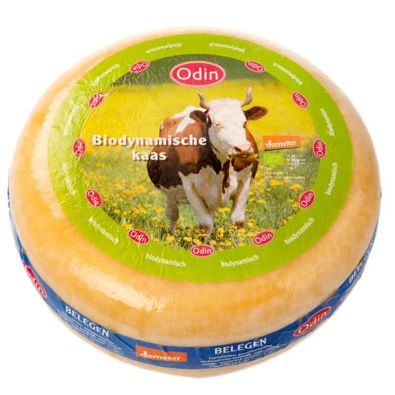 Belegen Kaas 50+ van Odin ongeveer 4 kg. Demeter keurmerk!