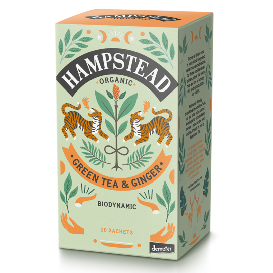 Groene thee gember van Hampstead Tea, 4 x 20 builtjes