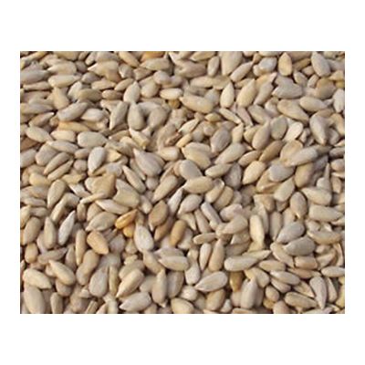 Zonnebloempitten van diverse leveranciers, 1 x 25 kg