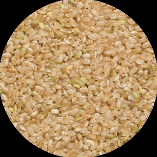 Ronde Rijst Bruin van DO IT, 1 x 25 kg