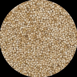 Quinoa van DO IT, 1 x 25 kg