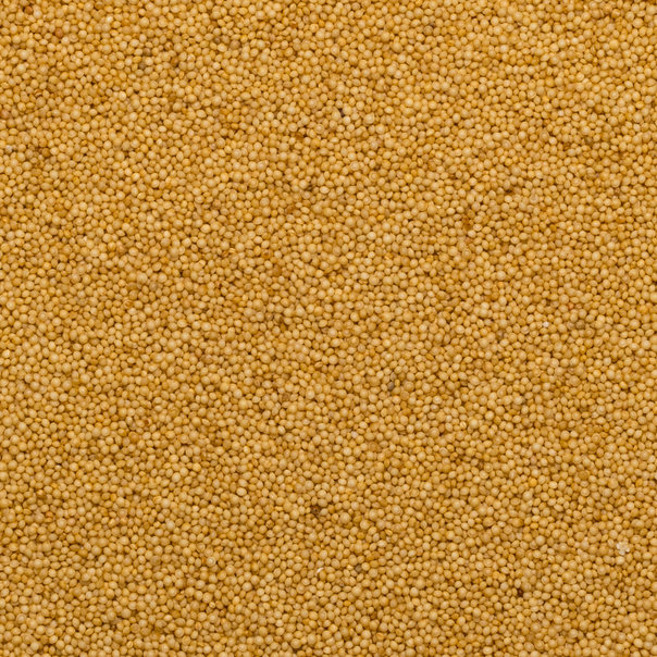 Amaranth van Do It, 25 kilo.
