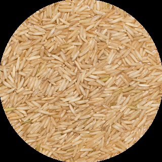 Basmati Rijst Bruin van Do It, 1x 25 kg