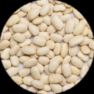 Witte Bonen Medium van DO It, 1x 25kg