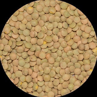 Linzen Groen Laird van Do It, 1x 25kg