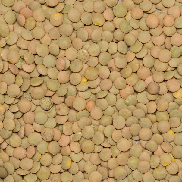Linzen Groen Laird van Do It, 1x 25kg