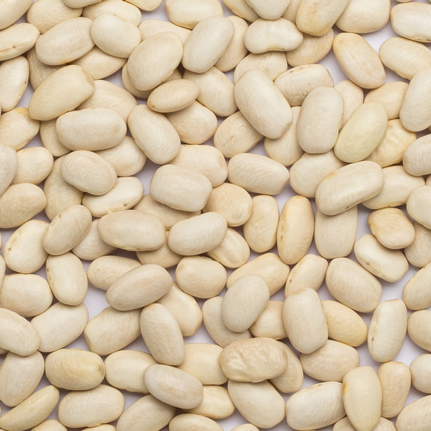 Witte Bonen Groot Fair Trade van DO It, 1x 25kg