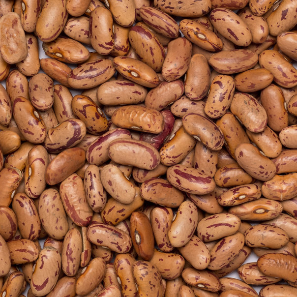 Borlotti Bonen Pinto Fair Trade van Do It, 1x 25 kg