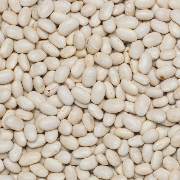 Witte Bonen Klein Navy Fair Trade van DO It, 1x 25kg