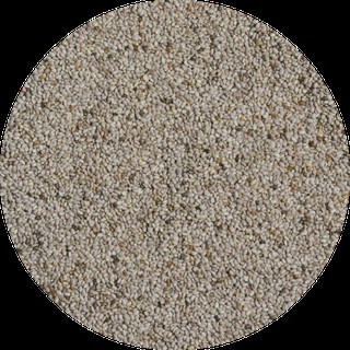 Chia zaad wit van Do It, 1x 25 kg.