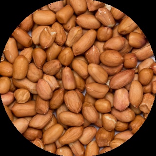 Pinda`s Baisha raw van Do It, 1 x 25 kg