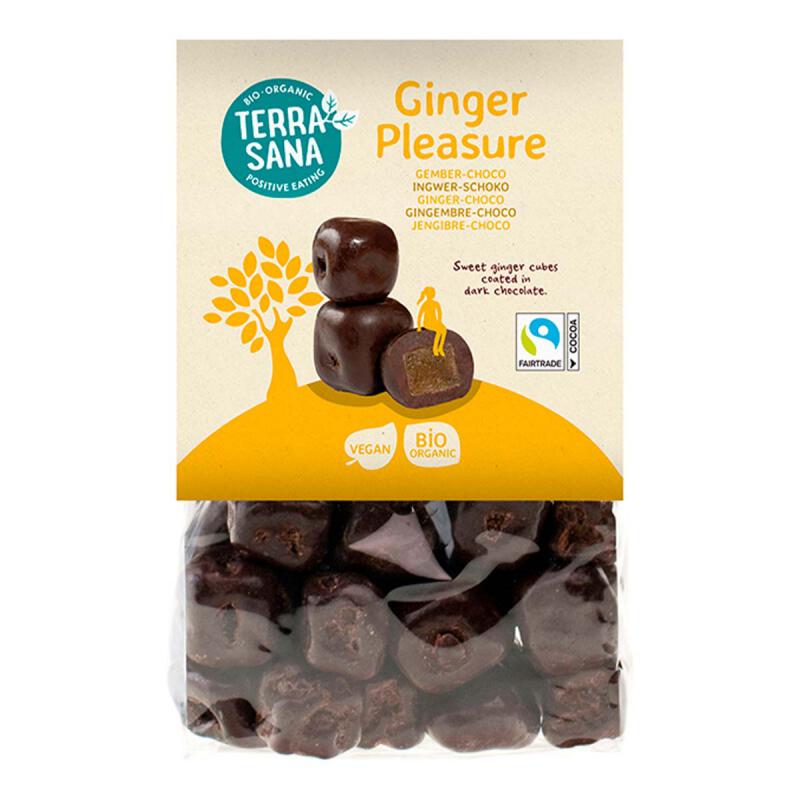 Ginger Pleasure van TerraSana, 10 x 150 g