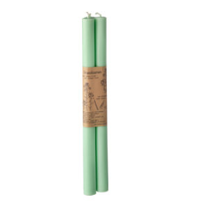 Kaars diner spearmint van Brassikaarsen, 6 x 3 stk