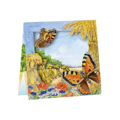 Box Vlinders Akker van Floris Kaarten, 1 x 1 kaart