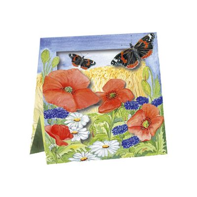 Box Klaprozen Vlinders van Floris Kaarten, 1 x 1 kaart