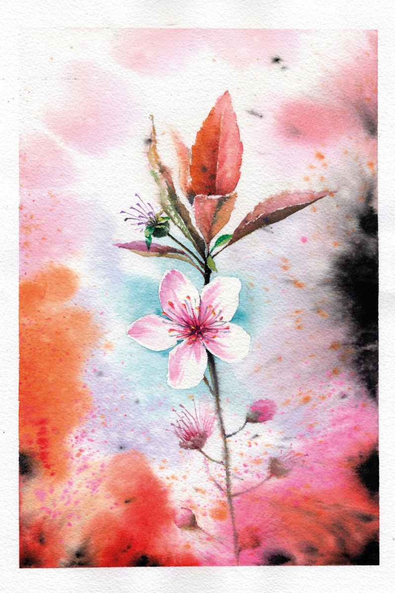 Wenskaart roze kersenbloem van Floris Kaarten , 1 x 1 kaart