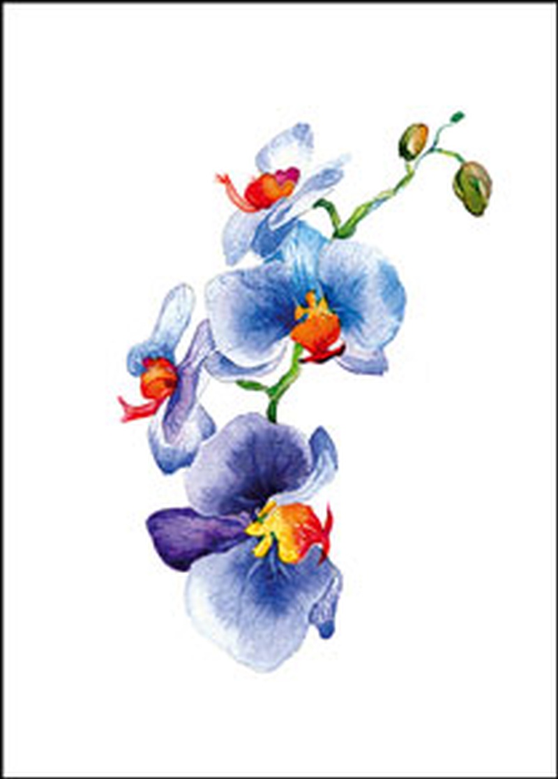 Wenskaart orchidee blauw van Floris Kaarten , 1 x 1 kaart