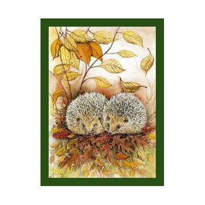 Wenskaart 2 egels Jeanine van Floris Kaarten, 1 x 1 kaart