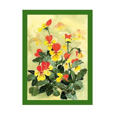 Wenskaart Gele Bosviooltjes van Floris Kaarten, 1 x 1 kaart