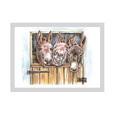 Wenskaart drie ezels van Floris Kaarten, 1 x 1 kaart