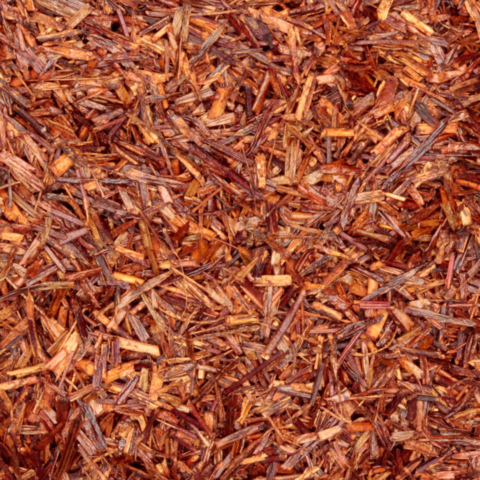 Rooibos